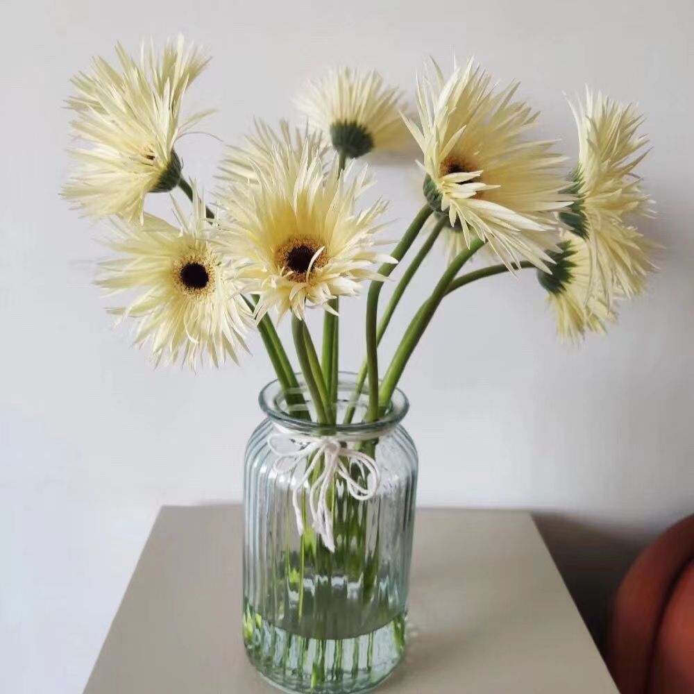 拉丝菊鲜花批发云南非洲菊鲜花花店婚庆用花水养插花花束配花搭配