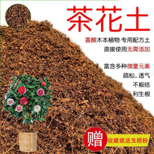 茶花营养土包邮喜酸性土壤植物盆栽种植山茶花土红土有机花泥