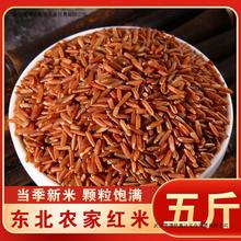 新红米5斤1斤农家自产红糙米新米红米红色大米五谷杂粮粗粮饭包邮