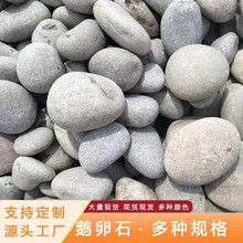 厂家批发鹅卵石变压器用小石子庭院铺路铺地河卵石水处理净水滤料