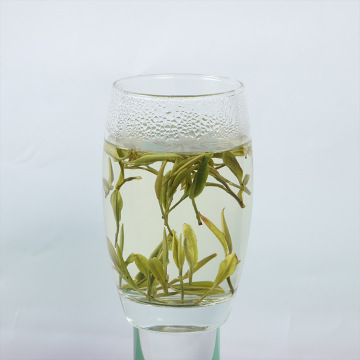 霍山黄芽2024新茶礼盒装正宗安徽霍山黄茶茶叶兰花香鲜爽浓