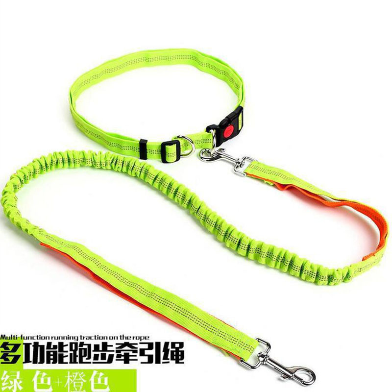 Pet Shrink Strap Leash Pet Leash Dog Walking Rope out Running Dog Walking Rope Pet Supplies