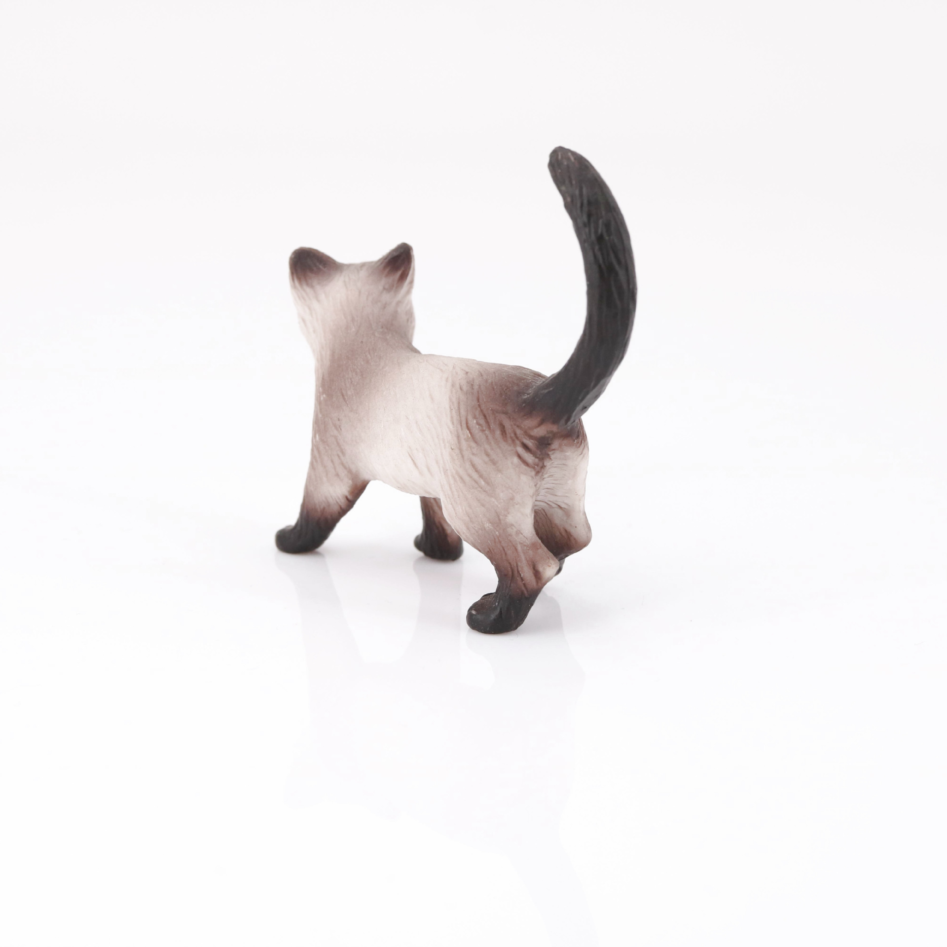 仿真动物模型布偶猫暹罗猫 短毛猫 小猫模型玩具实心模型摆件手办
