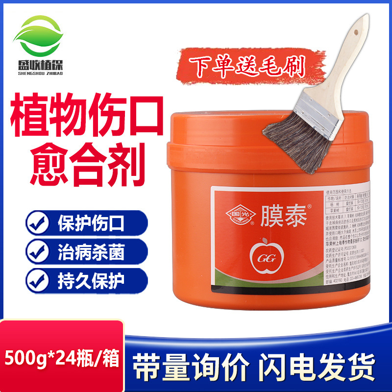 国光膜泰大树盆景果树伤口涂抹剂愈合剂嫁接腐烂病愈伤封口膏