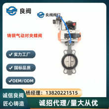 天津D671X-10/16Q中线垂直板气动对夹式蝶阀铸钢厂商直供DN50-500