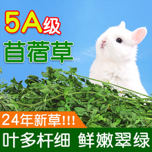 兔子食用草紫花苜蓿草豚鼠吃的兔粮饲料干牧草荷兰猪专用苜宿草墨