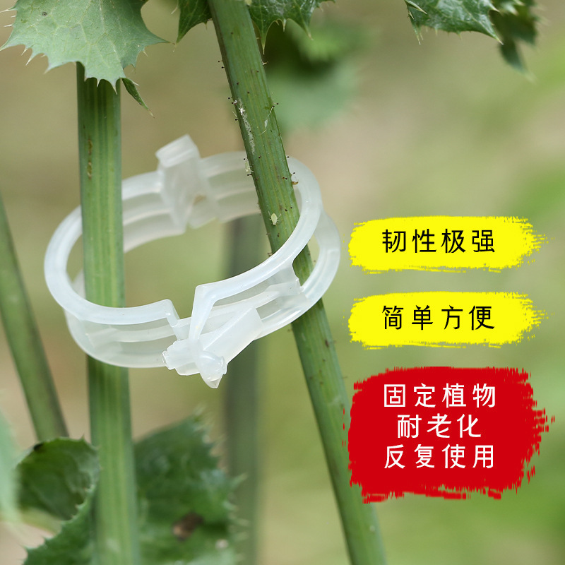 Vine Clamp Tie Tendril Clip Hanging Seedling Buckle Green Plant Clip Vine Fixed Clip Pepper Eggplant Holder Rice Seedling Plant Clips