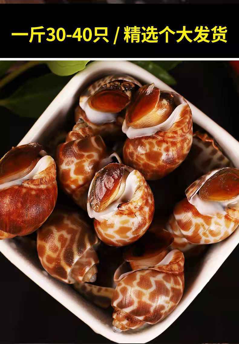 江苏食品工艺冷冻水产用途食用是否进口否品种花螺商品属性限时包邮