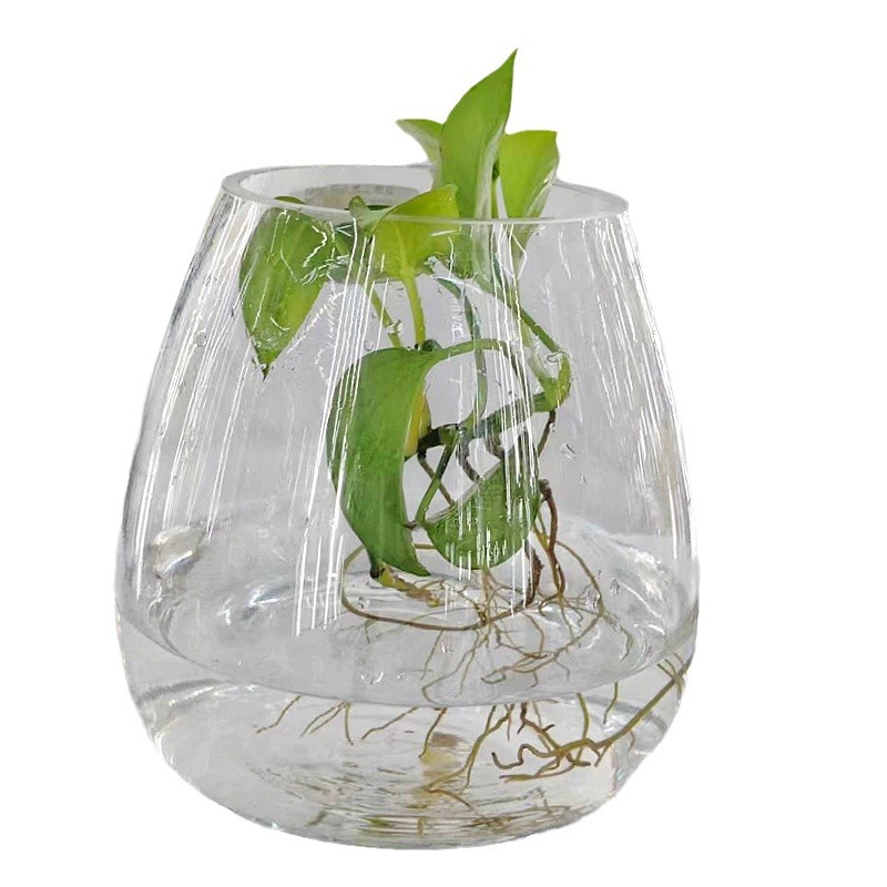 Factory Wholesale Transparent Glass Vase Desktop Flower Arrangement Home Decoration Decoration Aquatic Flowers Creative Simple Flower Device