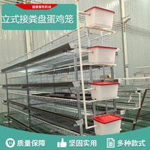 厂家销售立式接粪盘蛋鸡笼养殖养鸡设备肉鸡笼防锈热镀锌鸡笼