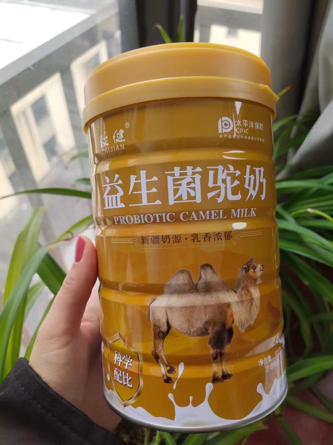 益生菌驼奶300克罐装驼奶蛋白粉中老年营养粉骆驼奶营养粉展销会