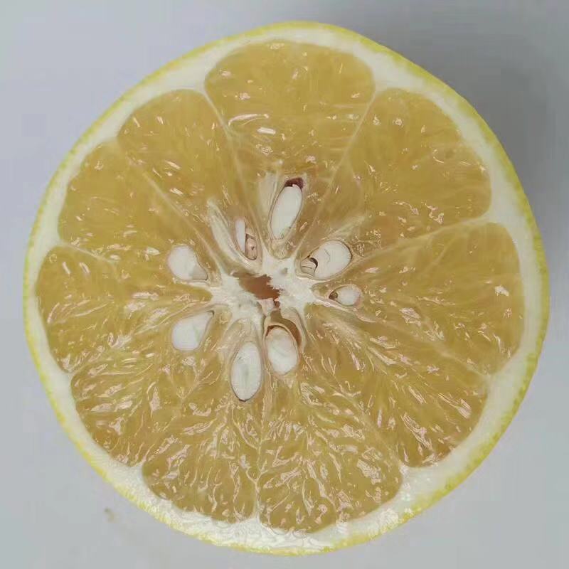 柚子葡萄柚福建琯溪白心葡萄柚当季鲜水果孕妇非红心蜜柚5斤代发