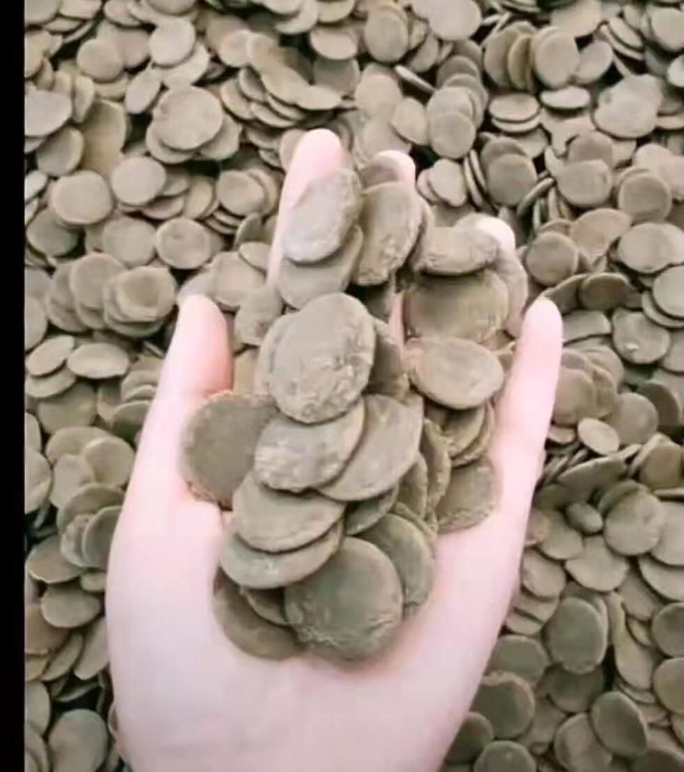 厂家直供海参鲍鱼片状饲料机 各种水产类片状生产线 海参饲料设备