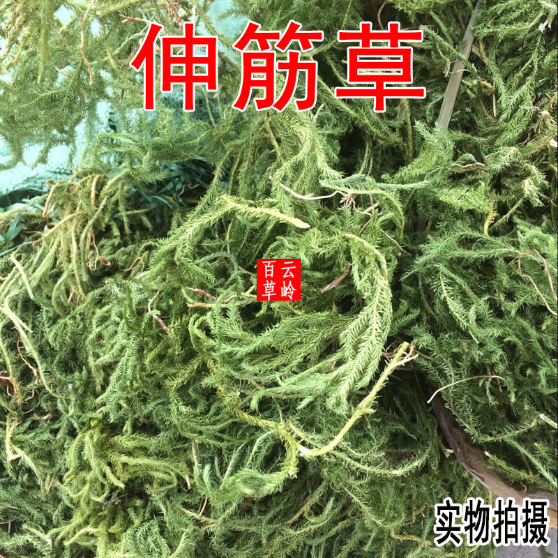 点击查看大图