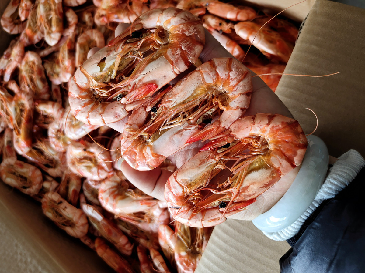 批发北海烤虾干 22对即食九节虾班节虾干货 500g虾肉干带虾皮淡干