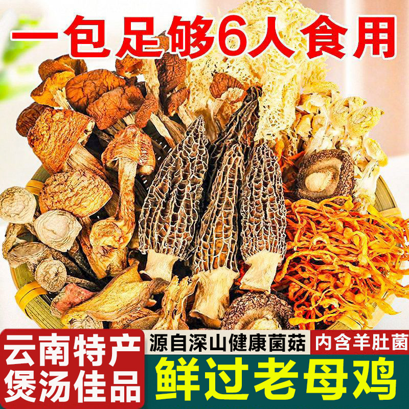 七彩菌汤包云南新鲜羊肚菌鹿茸菇菌菇包竹荪虫草花菌菇煲汤批发