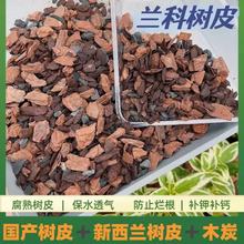 松树皮发酵腐熟松麟兰科植物专用混合木炭利于发根壮根保水透气