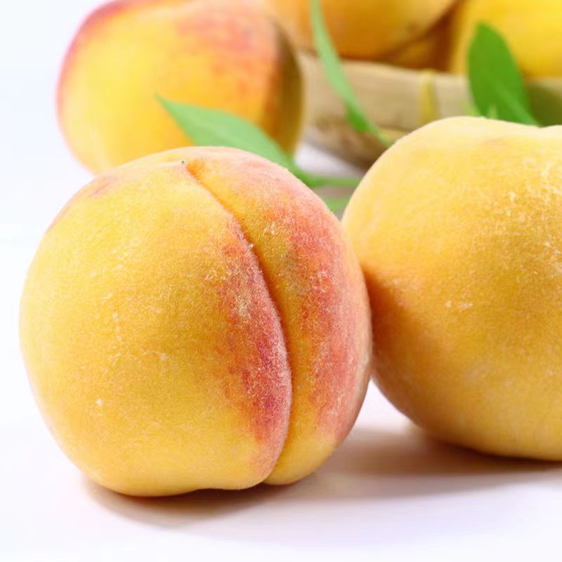 陕西当季黄金蜜黄桃黄毛桃4.5-5斤新鲜孕妇水果桃子