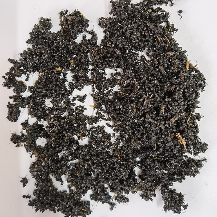 黑蚂蚁干货500g克正品横县黑蚂蚁酒料拟黑多刺蚁中药材食用黑蚁粉