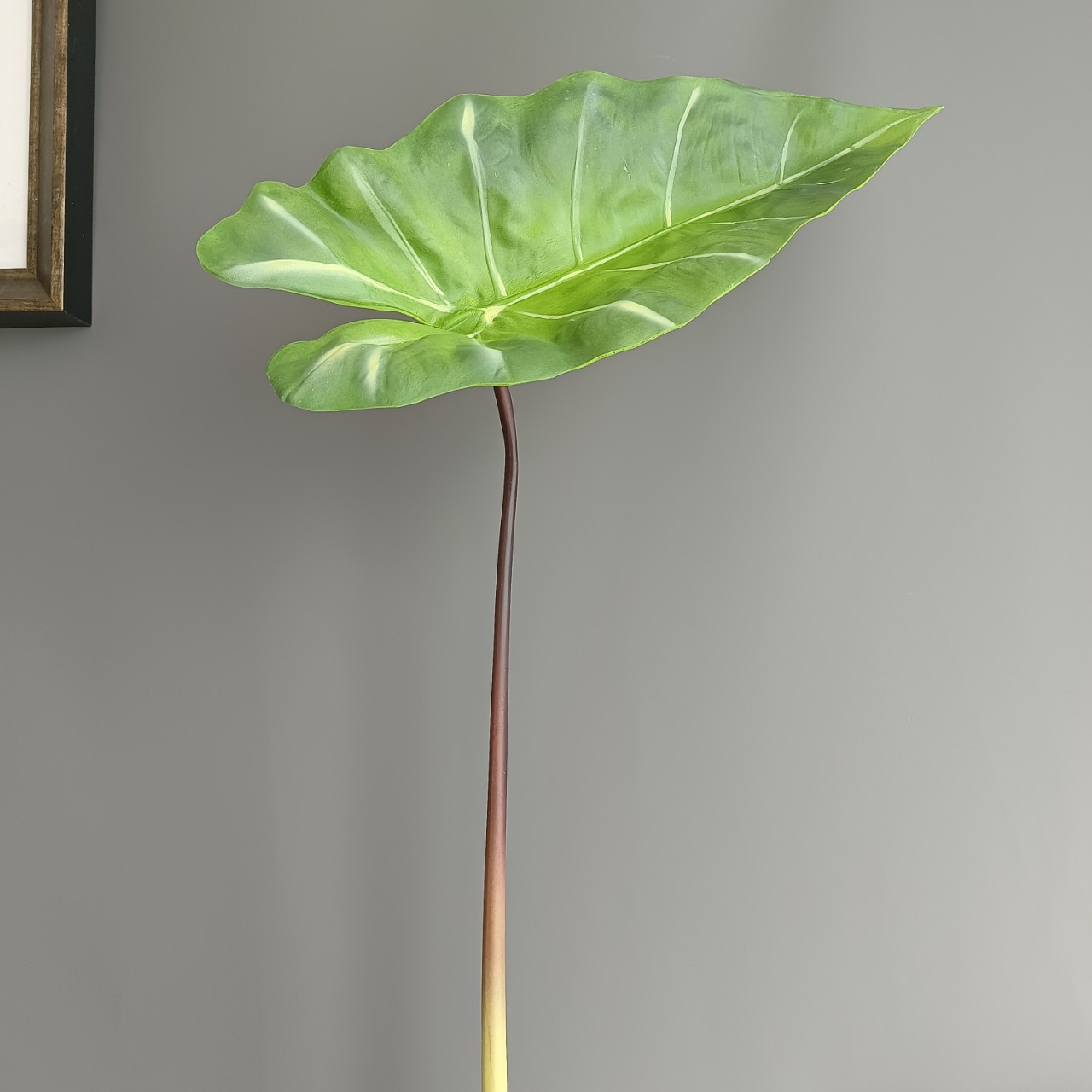 仿真天鹅绒叶斑马海芋 跨境货源 家居样板间酒店婚庆装饰摄影道具