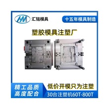 广东PC透明产品塑胶模具设计开模定做TPU软胶模具注塑加工厂家