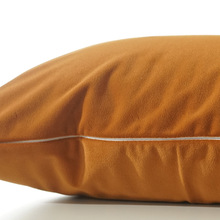 IYR7天鹅绒轻奢抱枕套60x80沙发靠垫套70x90加厚65x85不含芯尺寸