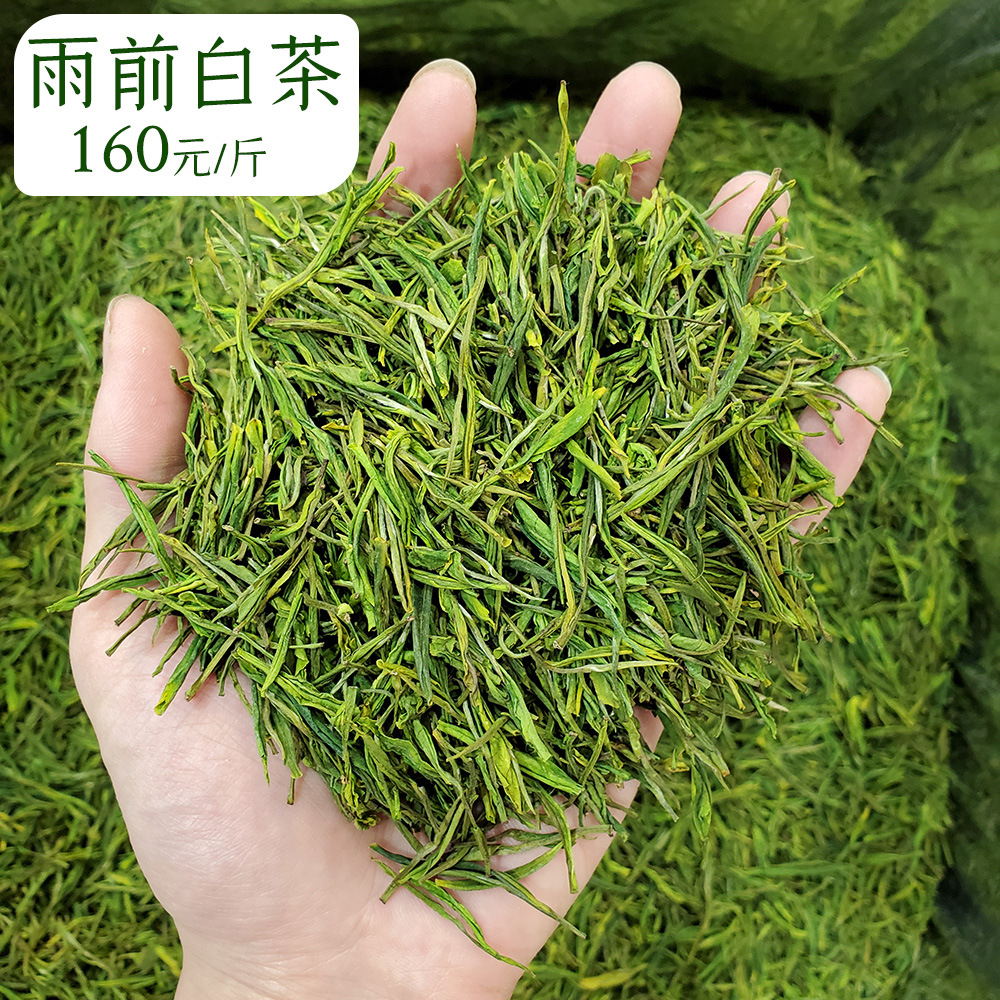 产地货源云南绿茶春尖云丝 散装滇绿银丝 西北熬罐罐高山绿茶批发