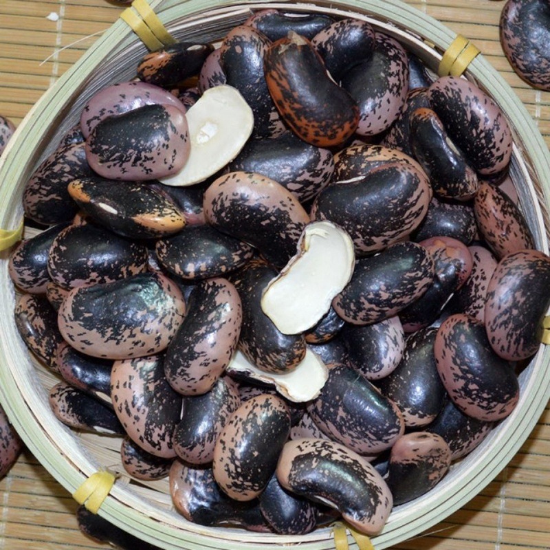 新货大肾豆牛眼豆黑花芸豆云南农家芸豆大黑豆大花豆五谷杂粮豆类