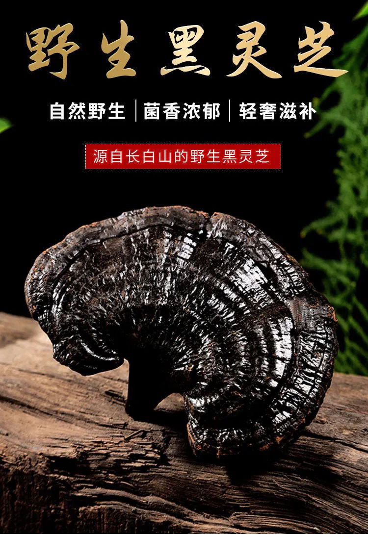 正宗长白山深山野生黑灵芝整枝紫赤灵芝片深山林芝紫黑灵芝250g