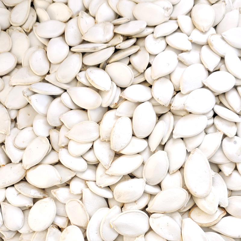 出口 白瓜子 12-13mm 精选雪白生南瓜子带壳扁瓜子 产地货源