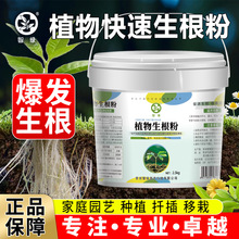 强力生根粉植物通用型果树木移栽扦插壮苗剂绿植营养液养花卉肥料