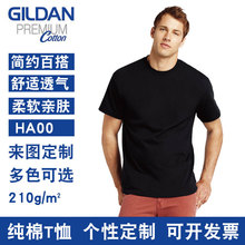 Gildan吉尔丹205g加厚T恤杰丹HA00锤子纯棉短袖TEE空白文化衫定制