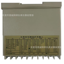 全新原装 宇电温控器 AI-518-E5-X3-S1-24VDC 温控仪 温控表