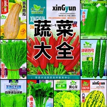 蔬菜种子四季播种阳台农家盆栽香菜菠菜生菜韭菜小葱草莓籽孑大全