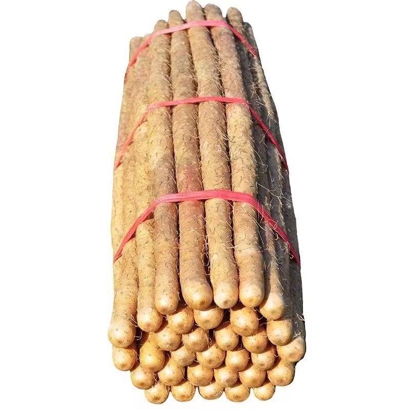 温县垆土铁棍山药正宗河南焦作新鲜生铁杆怀山淮山药特产淮山药粉