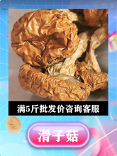 滑子菇干货500g东北特产新货嫩滑菇香菇小黄蘑小鸡炖蘑菇滑子蘑