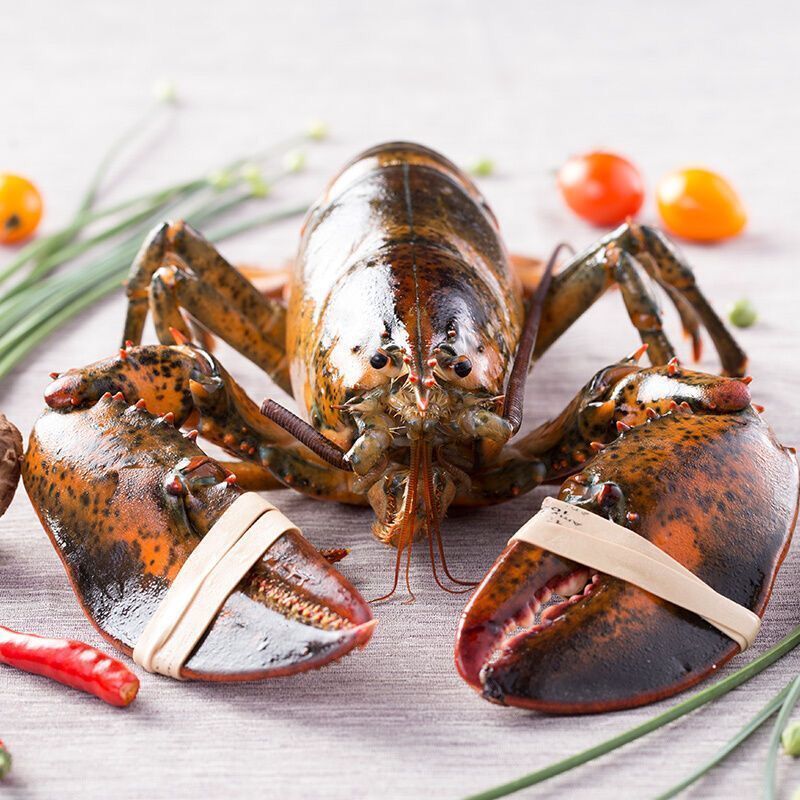 6-6斤 超大新鲜冻加拿大澳龙非青龙红龙虾-阿里巴巴