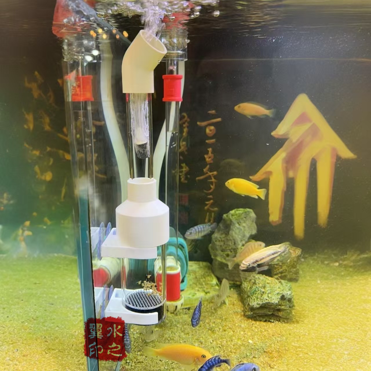 50MM鱼卵孵化器套装三湖慈鲷繁殖鱼异型工具配200CM气管可孵化