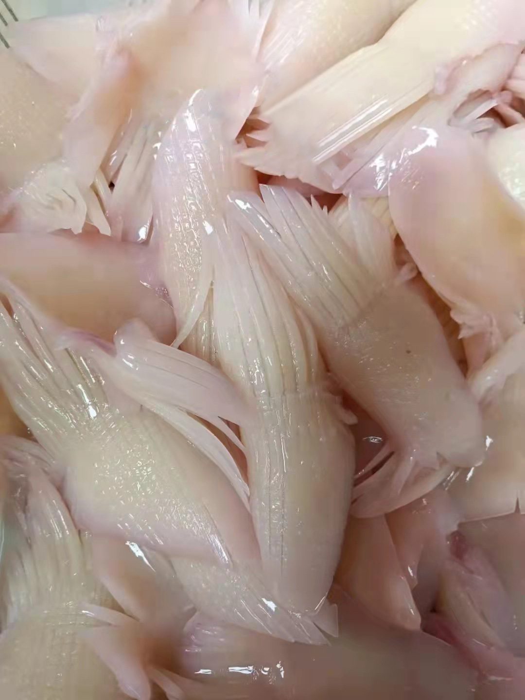 火箭鱿鱼花1斤鱿鱼须乌贼 冷冻海鲜鱿鱼章鱼火锅食材冒菜酒店批发