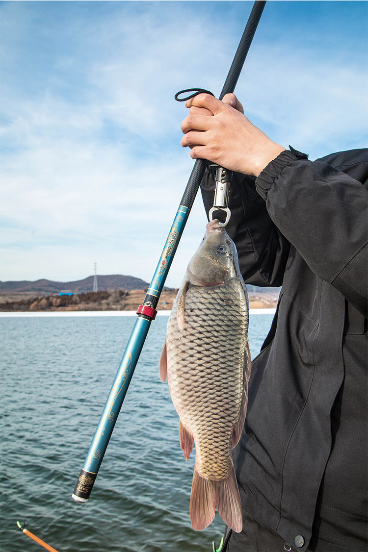 新品达瓦斩神钓鱼竿手竿超轻超硬19调28调碳素鲫鲤鱼杆台钓竿套装