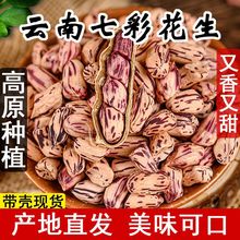 2022云南特产七彩花生带壳炒黑花生新鲜休闲零食水果五彩花生