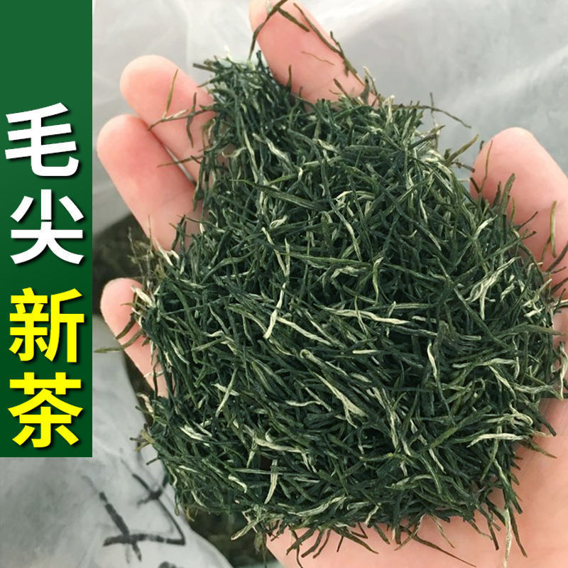 毛尖茶22新茶信阳高山绿茶明前嫩芽春茶手工云雾茶茶叶批发厂批发