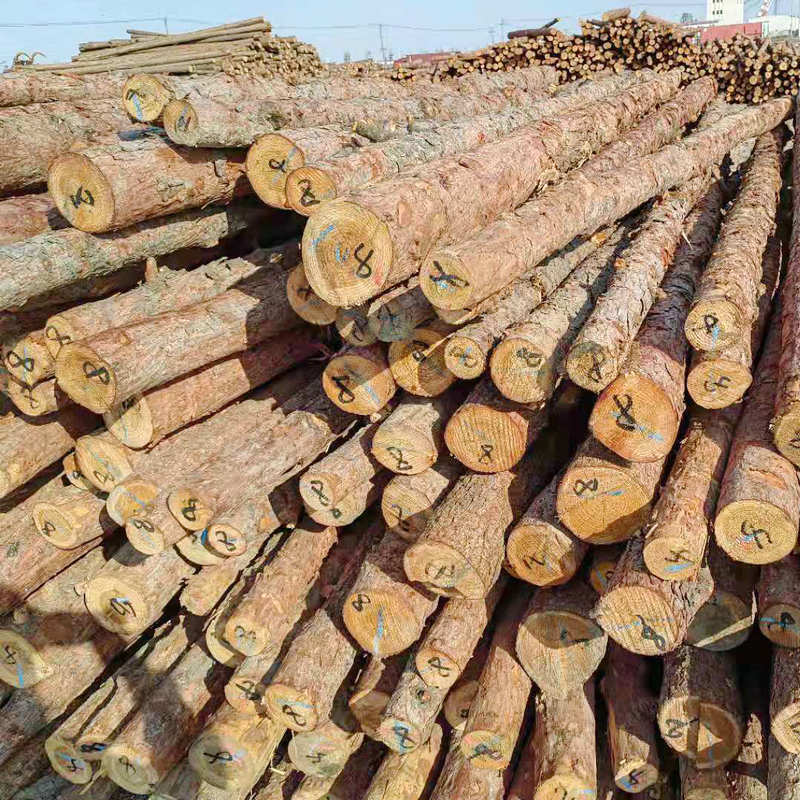 林场直销4米直径12公分松木桩 松木桩4米批发 优质松木原木打桩木