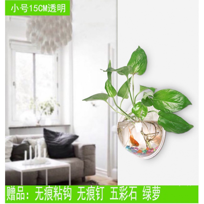 Creative Wall Hanging Flower Pot Hydroponic Hanging Basket Hanging Orchid Vase Flower Plant Green Radish Bonsai Green Plant Potted Flower Device Plastic