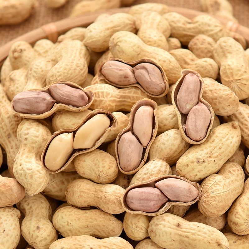 山核桃味干花生带壳新鲜铁锅晒炒熟花生米下酒菜零食批发休闲食品