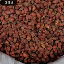 批发干栀子果散装无硫黄栀子新货山栀子茶中药材500g批发包邮