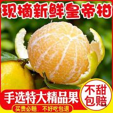 广西皇帝柑大果10斤当应季新鲜孕妇水果整箱香甜蜜桔5斤砂糖橘子
