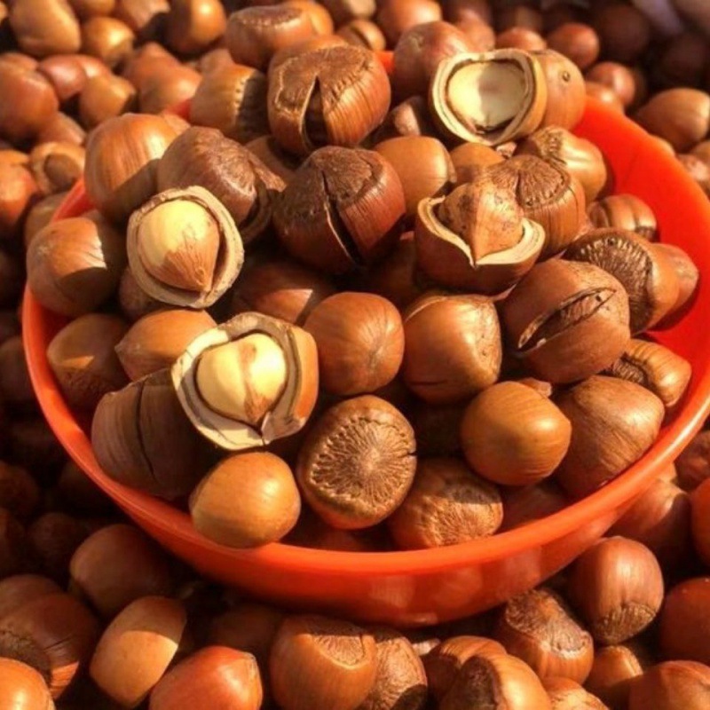 熟野生山榛子东北特产大锅现炒熟野山榛子散装榛子按需称重散榛子