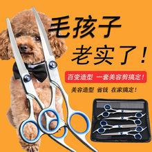 宠物剪刀狗狗泰迪剪毛剪刀修毛翘剪工具直剪弯剪牙剪套装工具