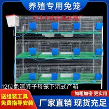 热镀锌免清粪兔子笼9位12位24位养殖场子母笼种兔笼子兔子养殖笼